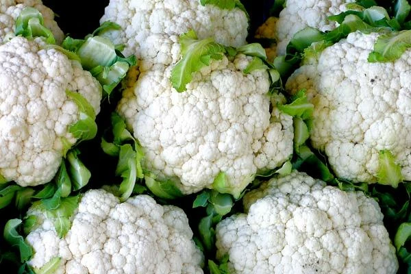 Increase in Canada's Import of Cauliflower and Broccoli Valued at $14M in October 2023
